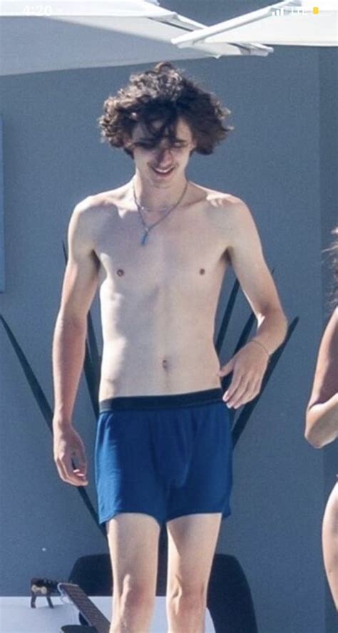 timothee chalamet nude|Timothée Chalamet is a shoo